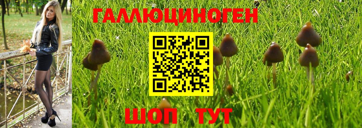 Южно-Сахалинск  Псилоцибиновые грибы MAGIC MUSHROOMS  Вход с VPN 